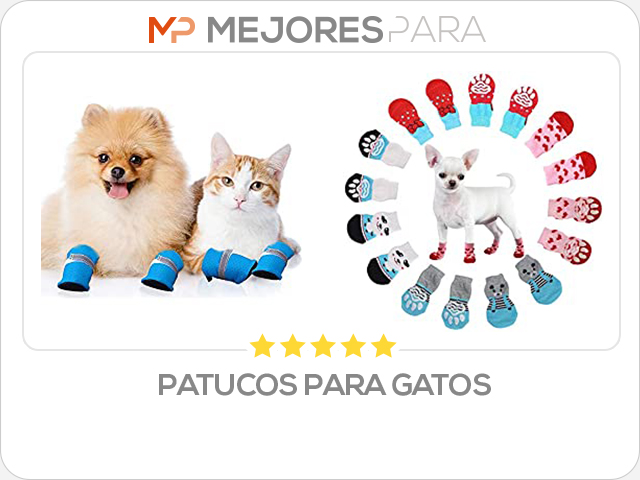 patucos para gatos