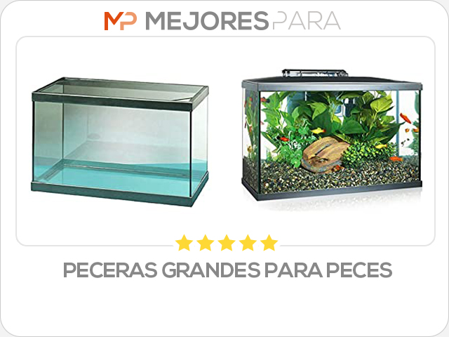 peceras grandes para peces