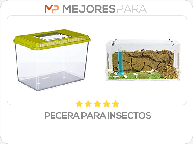 pecera para insectos