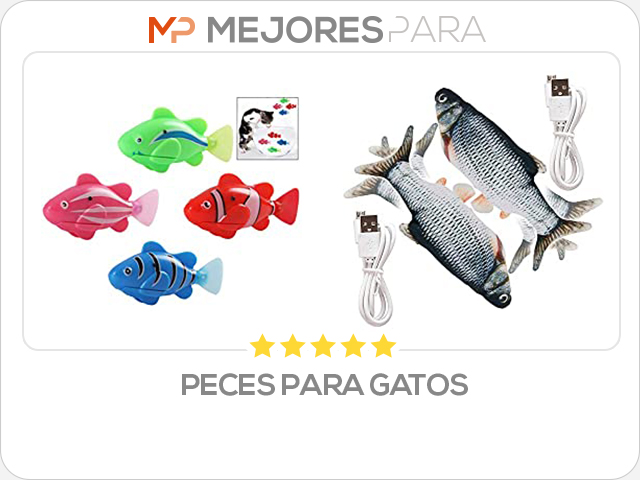 peces para gatos