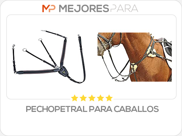 pechopetral para caballos