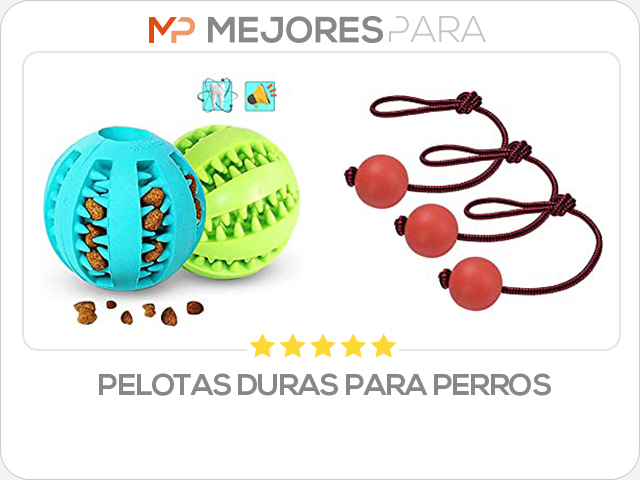 pelotas duras para perros