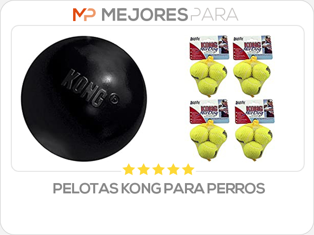 pelotas kong para perros