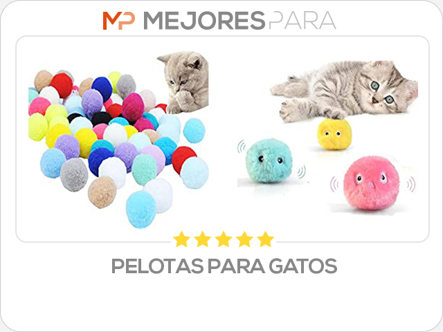 pelotas para gatos