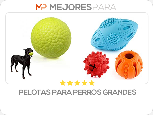 pelotas para perros grandes