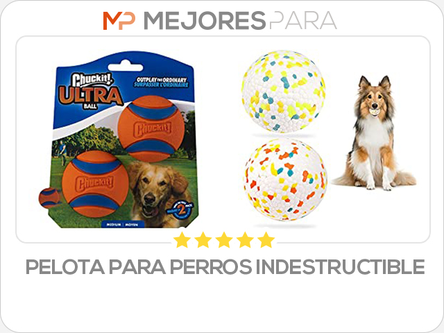 pelota para perros indestructible