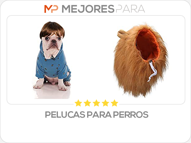 pelucas para perros