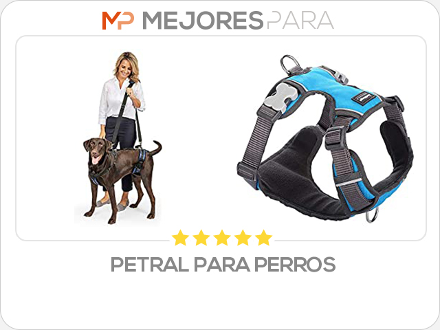 petral para perros