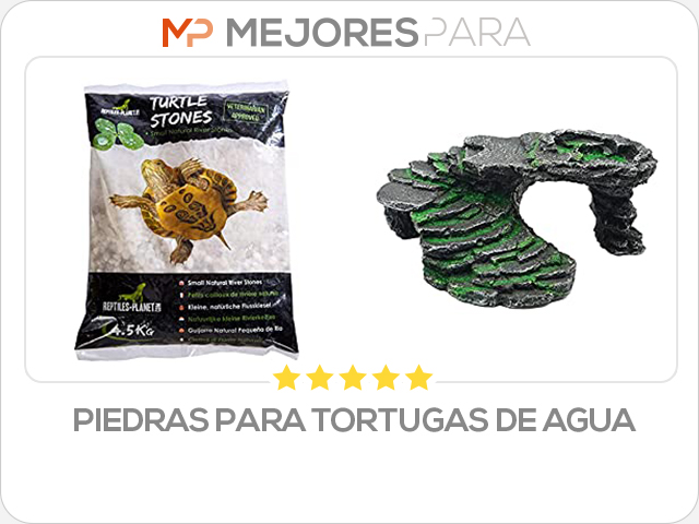 piedras para tortugas de agua