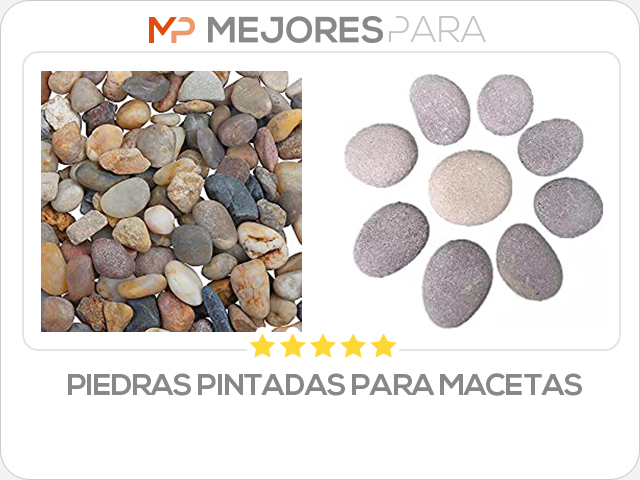 piedras pintadas para macetas