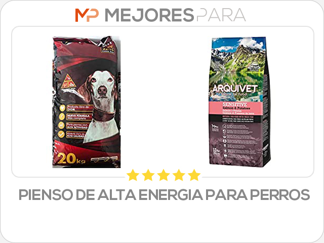 pienso de alta energia para perros