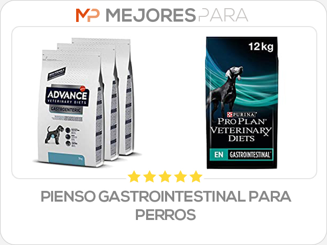 pienso gastrointestinal para perros