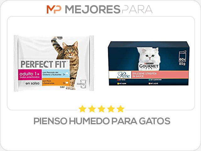 pienso humedo para gatos