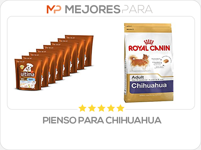 pienso para chihuahua