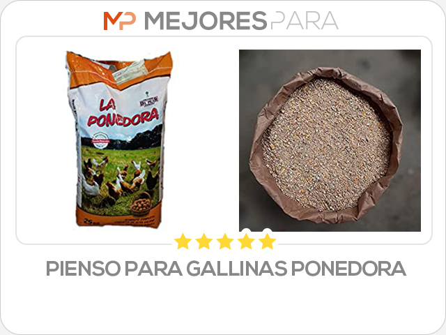 pienso para gallinas ponedora