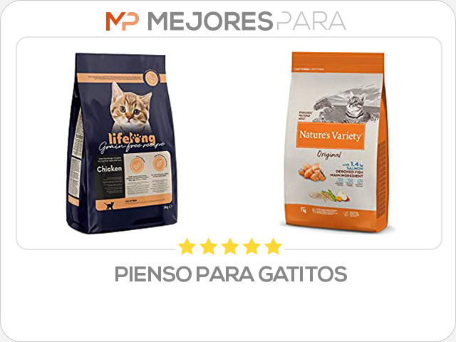 pienso para gatitos