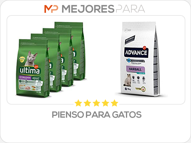 pienso para gatos