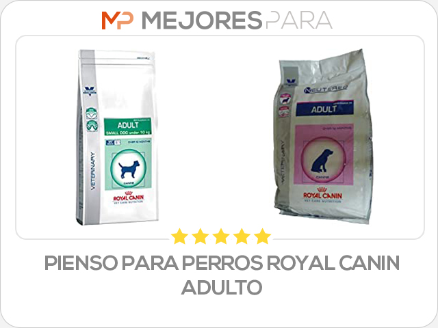 pienso para perros royal canin adulto