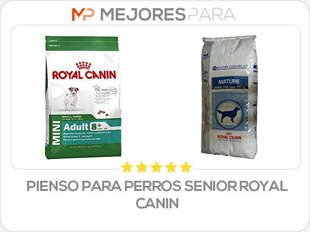 pienso para perros senior royal canin