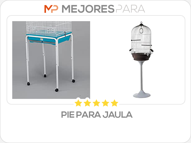 pie para jaula