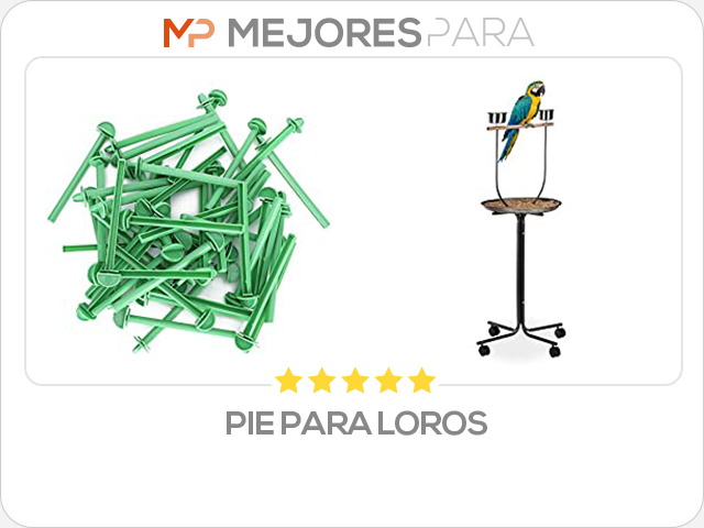 pie para loros