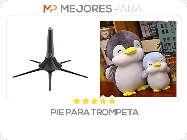 pie para trompeta