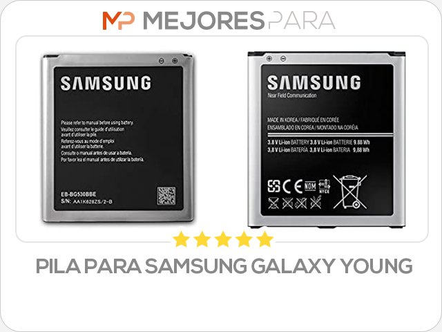 pila para samsung galaxy young