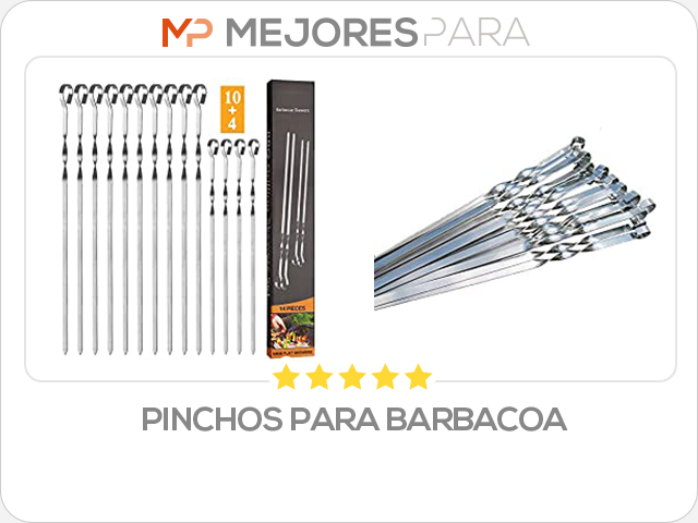 pinchos para barbacoa