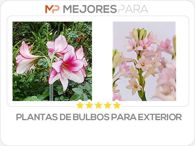 plantas de bulbos para exterior