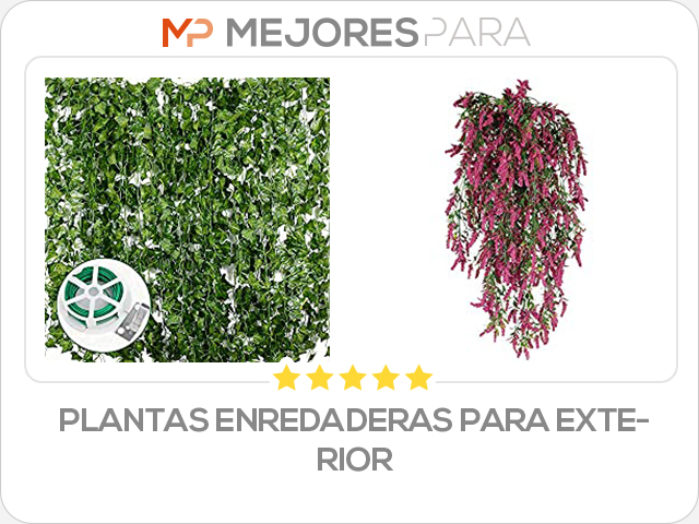 plantas enredaderas para exterior