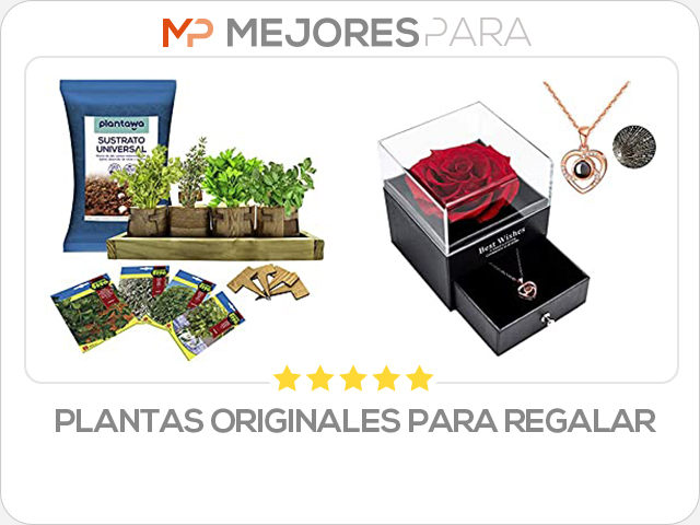 plantas originales para regalar