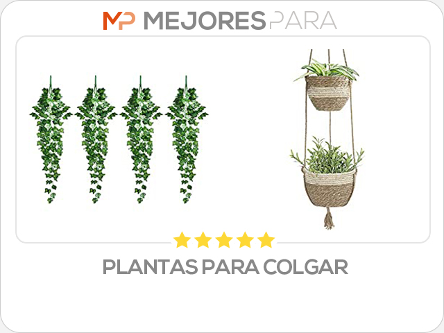 plantas para colgar