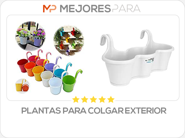 plantas para colgar exterior