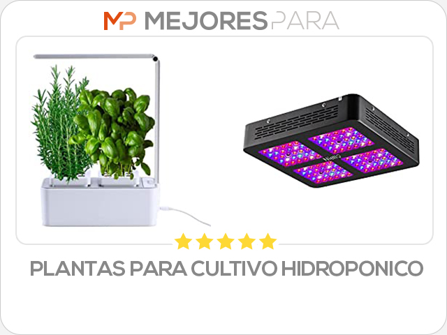 plantas para cultivo hidroponico