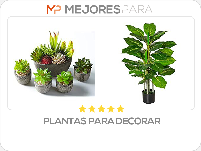 plantas para decorar