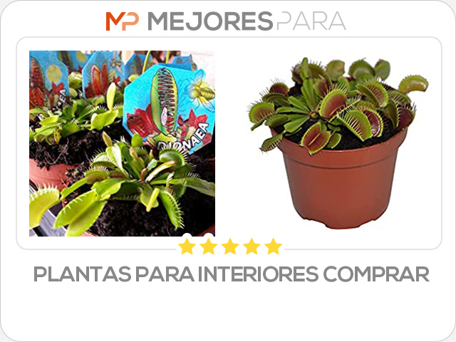 plantas para interiores comprar