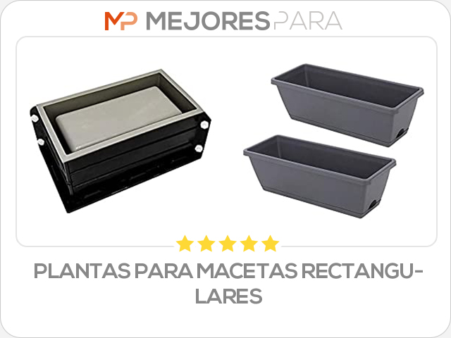 plantas para macetas rectangulares