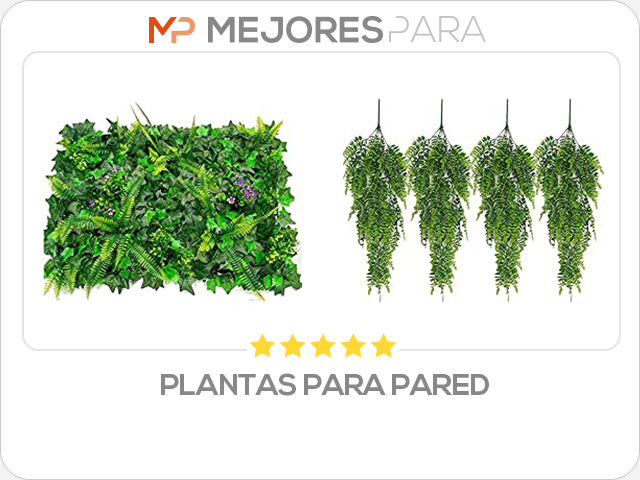 plantas para pared