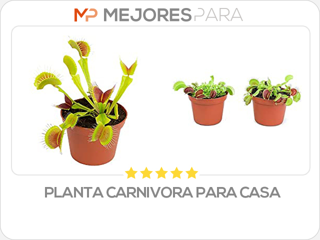 planta carnivora para casa