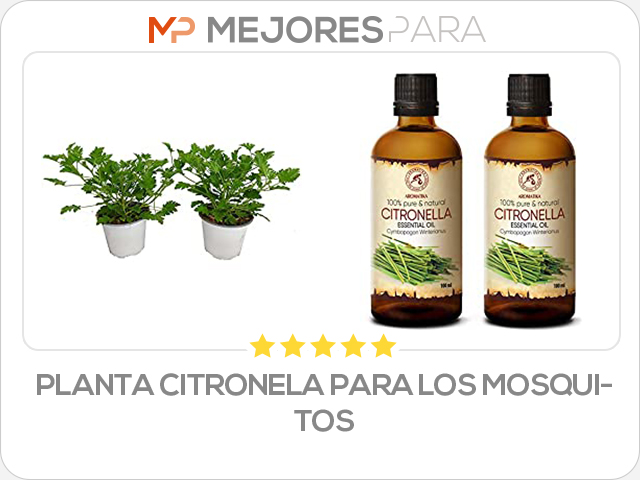 planta citronela para los mosquitos