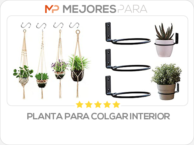 planta para colgar interior