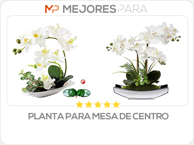 planta para mesa de centro