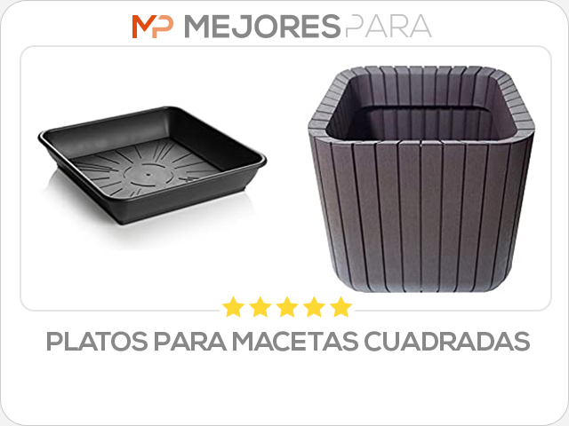 platos para macetas cuadradas