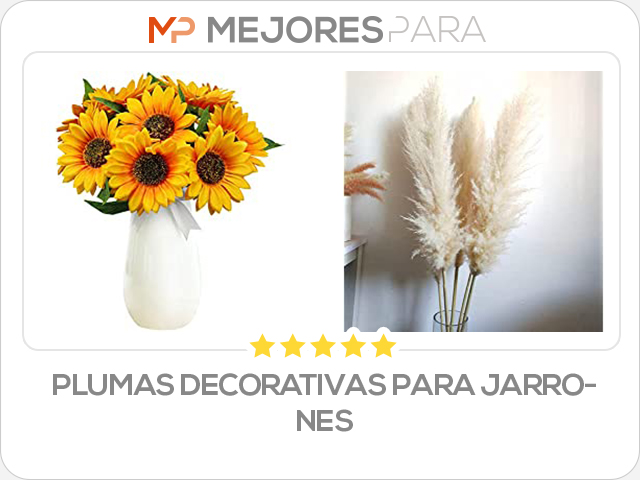 plumas decorativas para jarrones