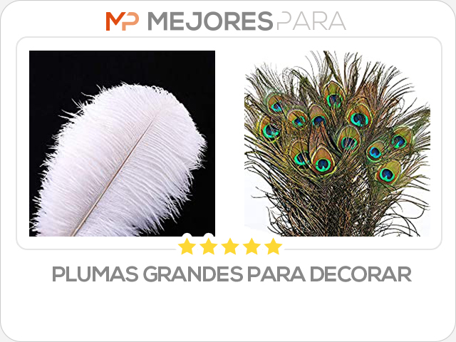 plumas grandes para decorar