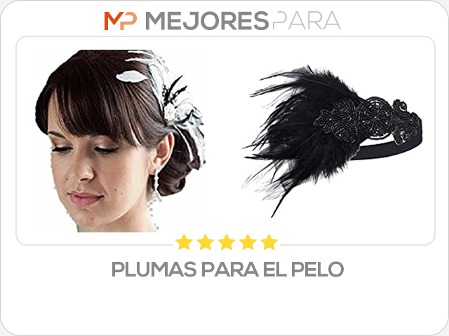 plumas para el pelo