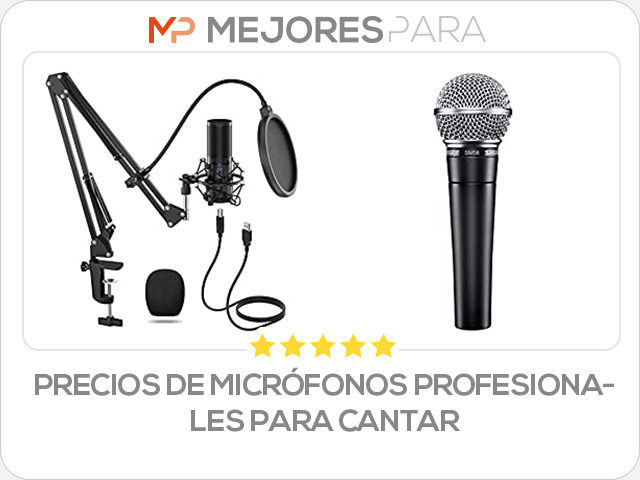 precios de micrófonos profesionales para cantar