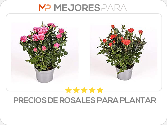 precios de rosales para plantar