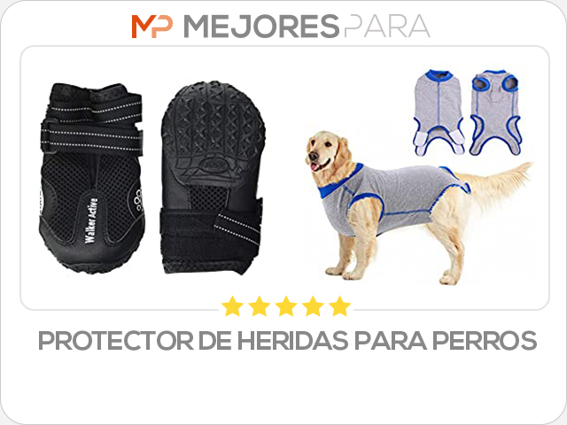 protector de heridas para perros