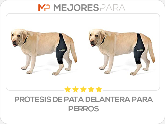 protesis de pata delantera para perros